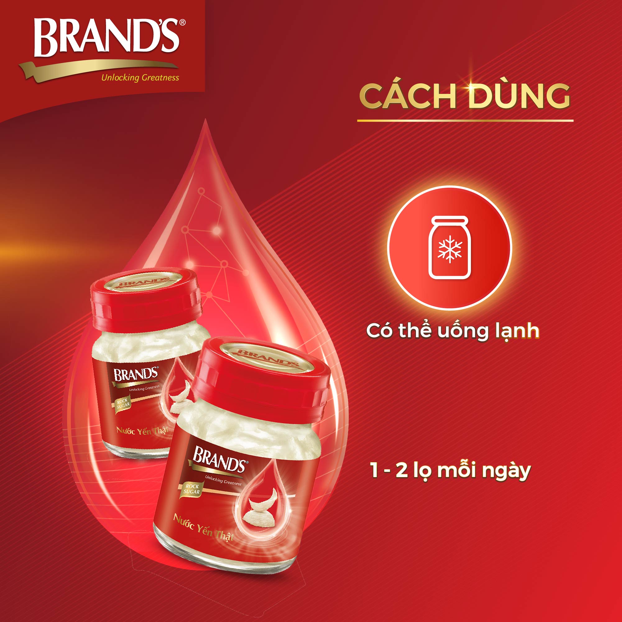 Combo 4 Nước yến thật BRAND'S Đường Phèn (42 ml x 24 lọ)