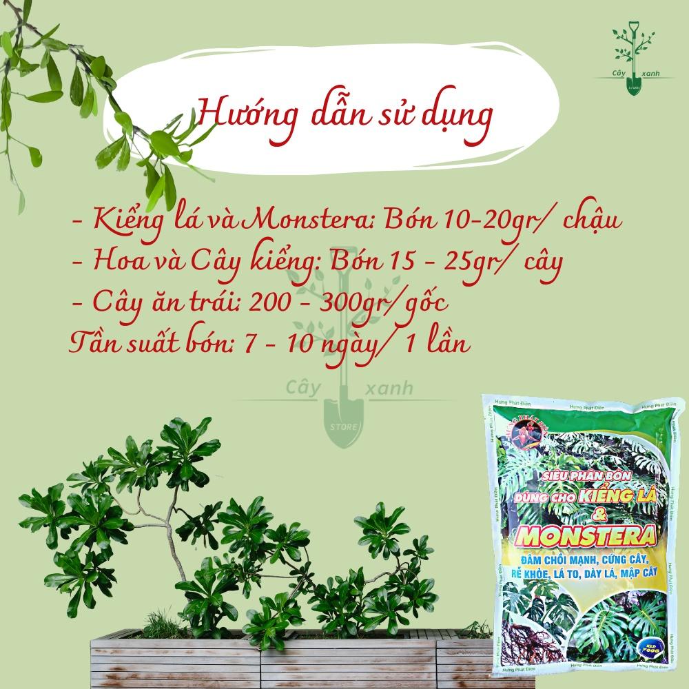 Phân Bón Hữu Cơ Kiểng Lá, Chuyên Dụng Cho Cây Trong Nhà, Monstera, Kiểng Lá. Gói 700gr Đâm Chồi Mạnh, Cứng Cây