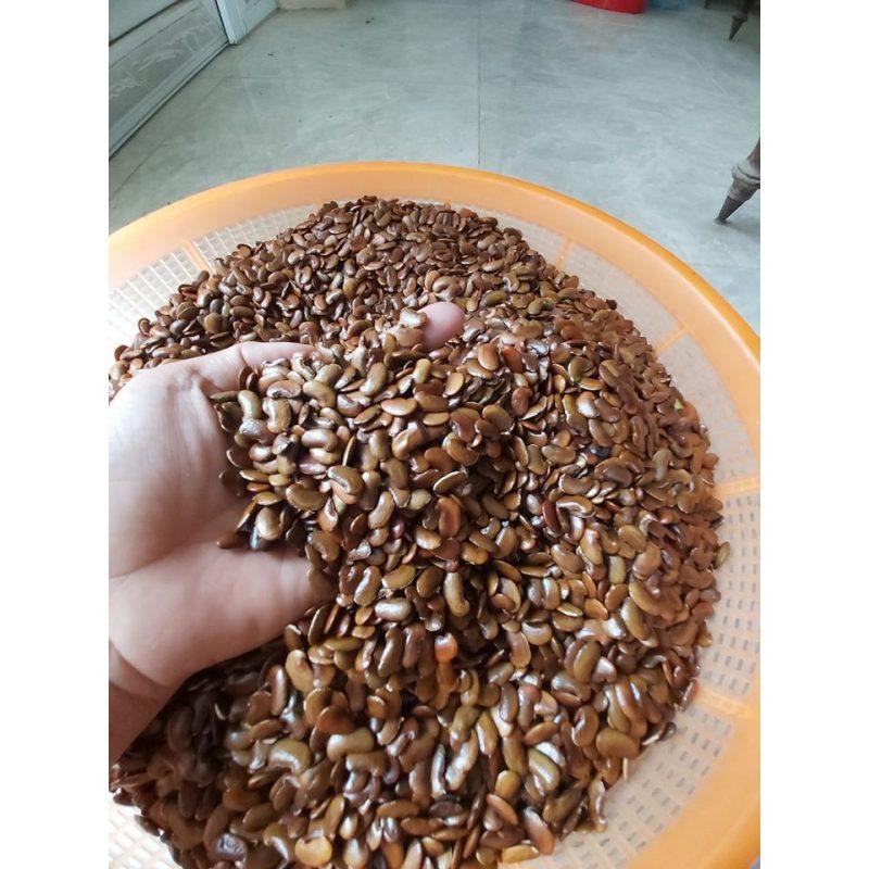 Hạt giống cây Sưa Đỏ CT500 - Gói 20 hạt