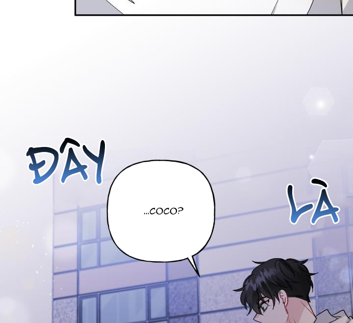 xác suất tình yêu chapter 62 105