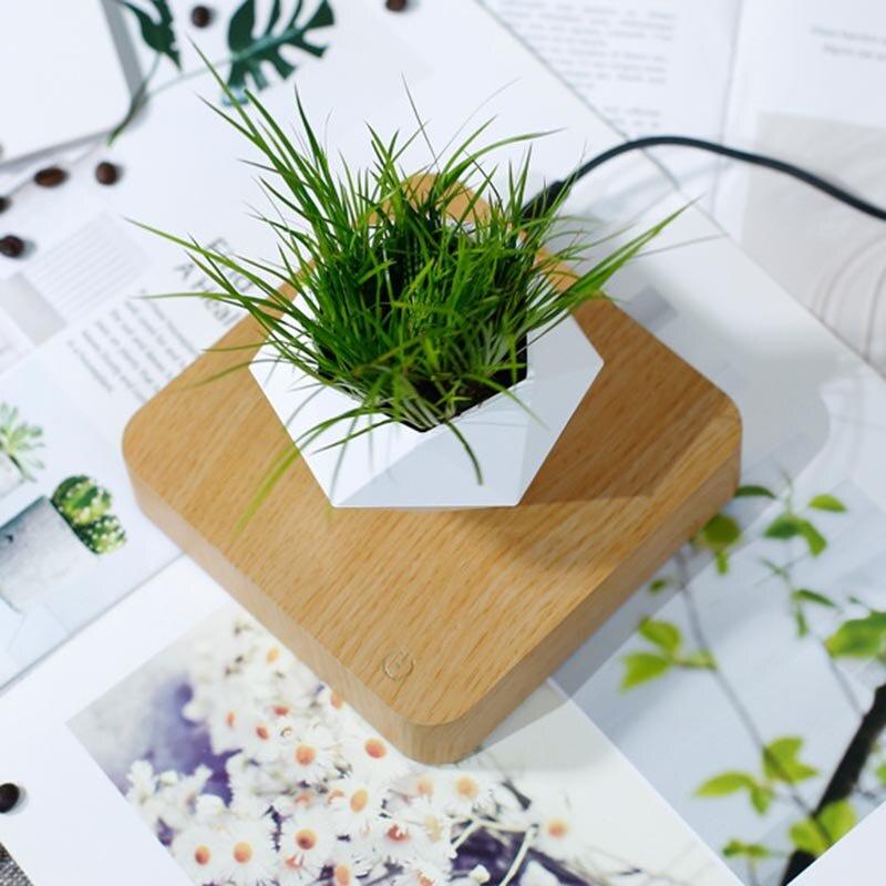 Chậu cây bay trang trí từ tính BonSai Bay Zero W Design