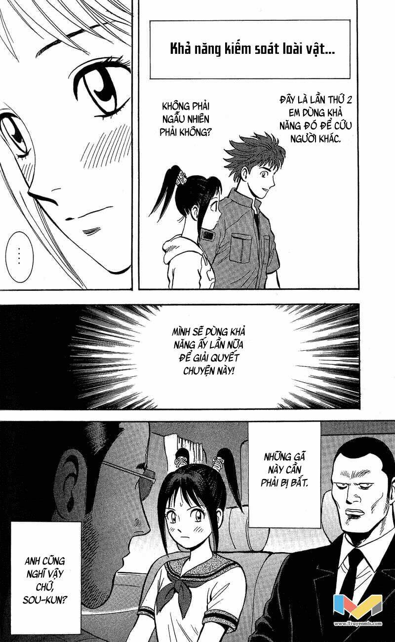 animal sense chapter 8 47