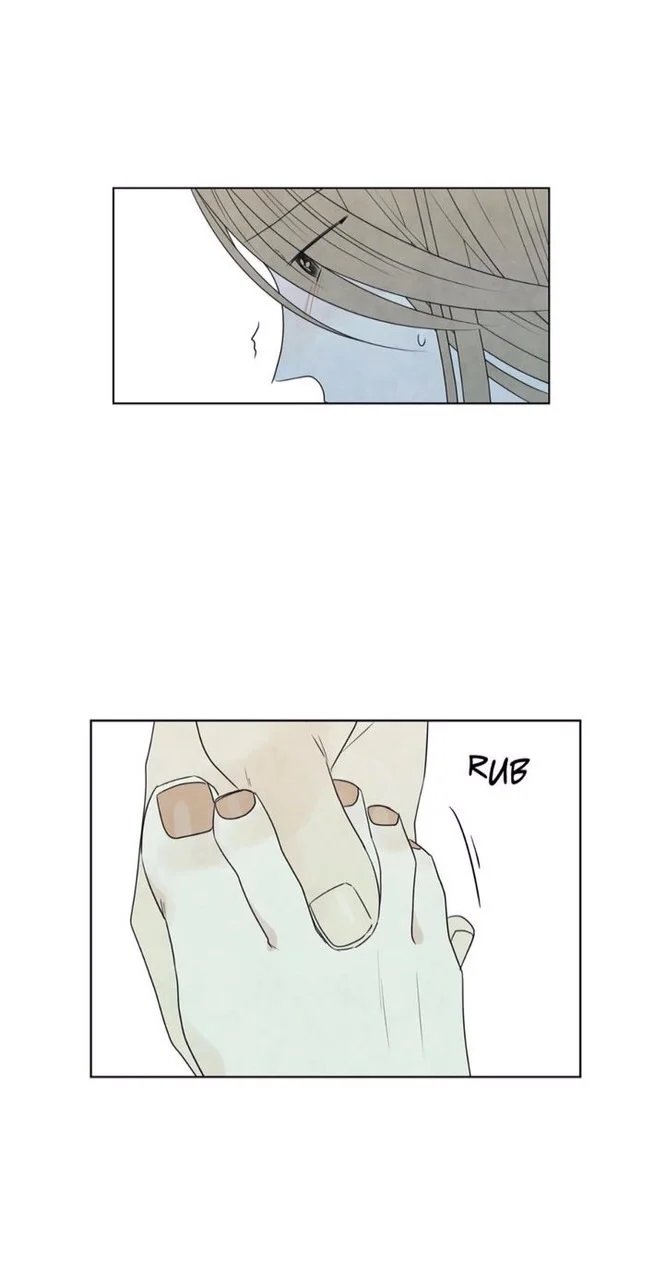 summer solstice point chapter 19 12