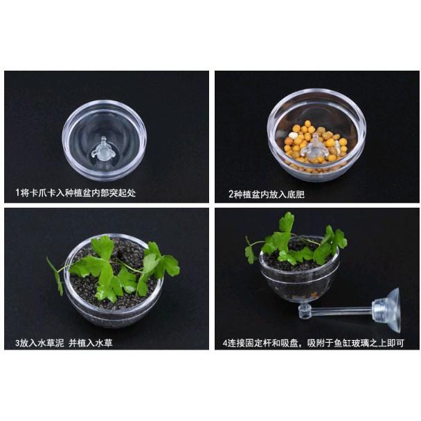 Đĩa cho tép ăn có hít - Cốc trồng cây thủy sinh - - Cốc đựng phân nền - Hồ thủy sinh - bể cá cảnh