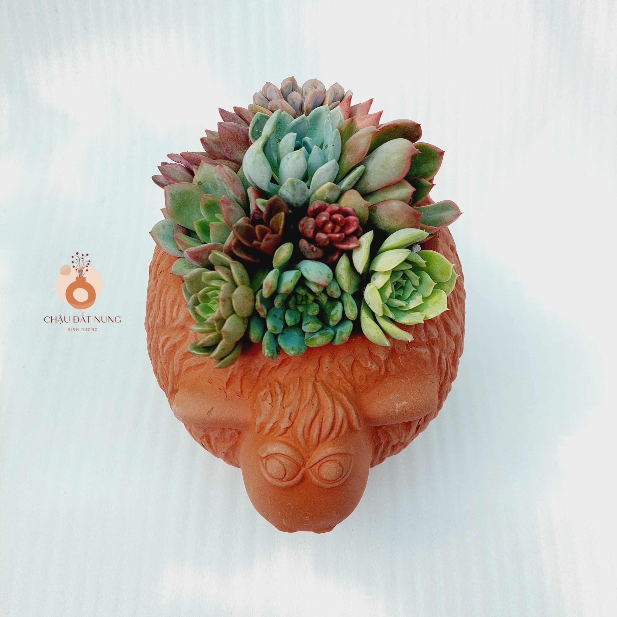 Chậu đất nung Bình Dương - Cừu Mập Heo, miệng chậu 12cm, chiều cao 17cm