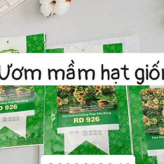 Hạt giống hướng dương tháp siêu bông Rado926 RD gói 1gr