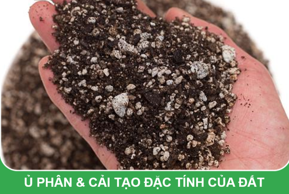 Đá Pumice size 5-8mm - dùng lót chậu, rải bề mặt sen đá, xương rồng, bonsai trồng cây, lọc nước bể thủy sinh, ủ phân, cải tạo đất