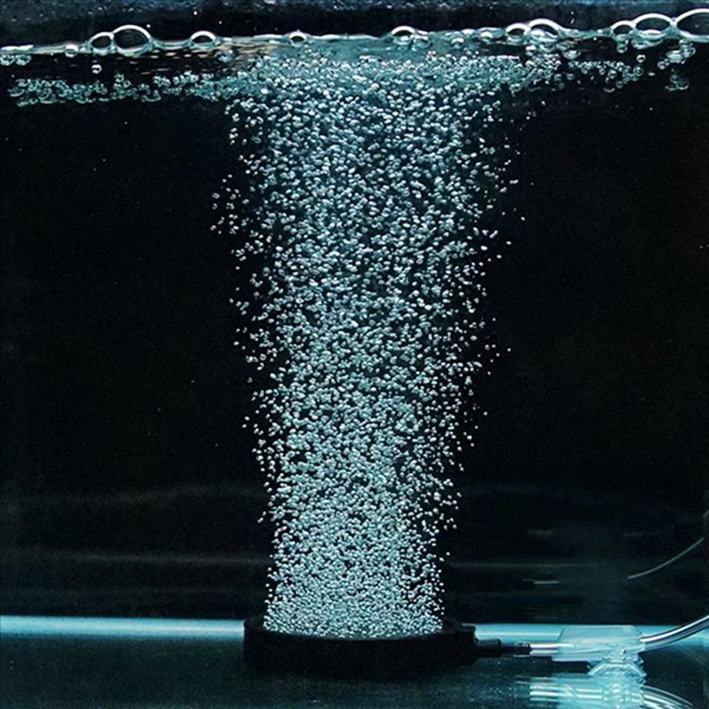 Bể Cá Bể Cá Ponds Air Stone Hydroponic System Oxygen Air Disk Bubbler