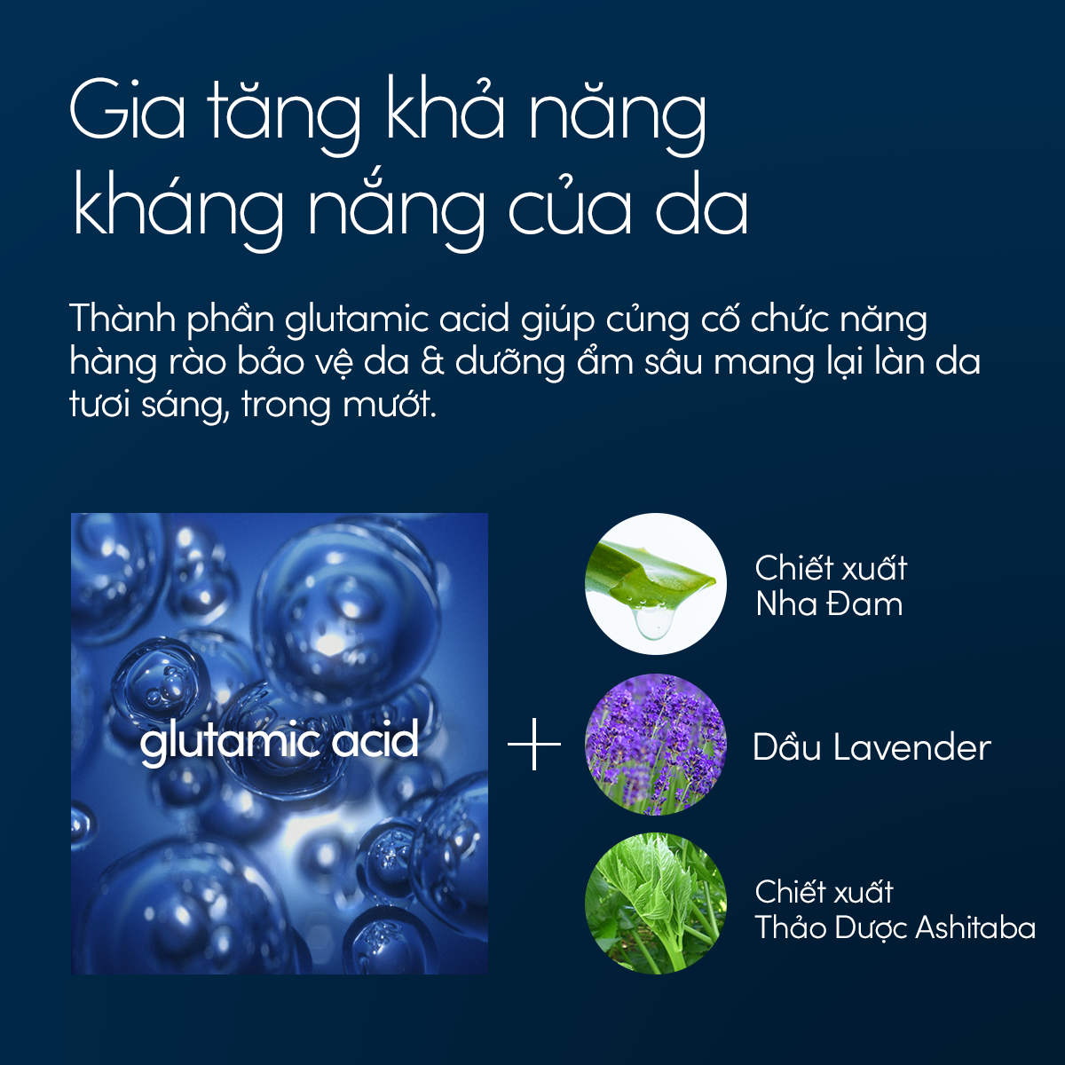 Bộ sữa chống nắng Anessa dưỡng da dịu nhẹ dạng sữa SPF50+ PA++++ 60ml và Serum dưỡng da và phục hồi da sau nắng 180ml