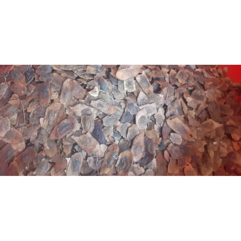 500gram sưa đỏ giống