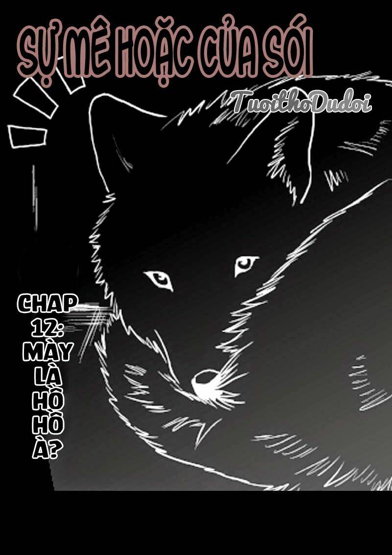 sự mê hoặc của sói chapter 12 1