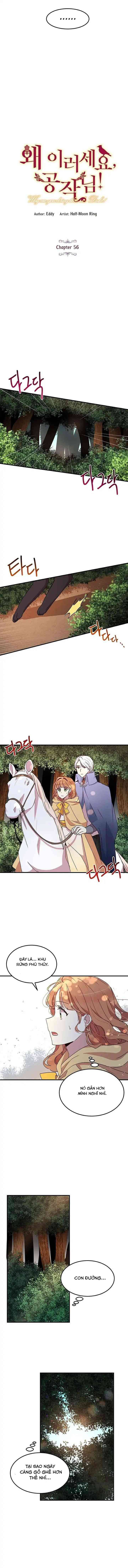 tại sao ngài làm điều này, công tước chapter 56 2