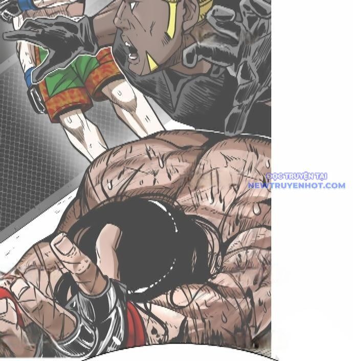 shark - cá mập chapter 290 22