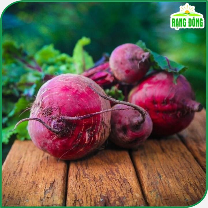 Hạt giống Củ Dền Đỏ Ngọt, Trồng Quanh Năm, Kháng Sâu Bệnh Tốt - Hạt giống Rạng Đông