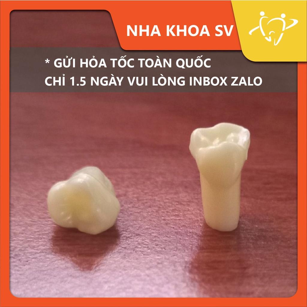Răng nhựa trẻ em cho sinh viên thực hành (Răng sữa)