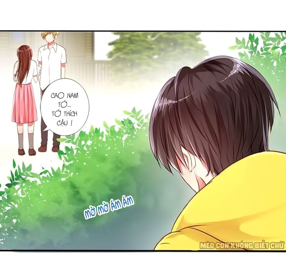 không có ssr làm sao để yêu chapter 12 23