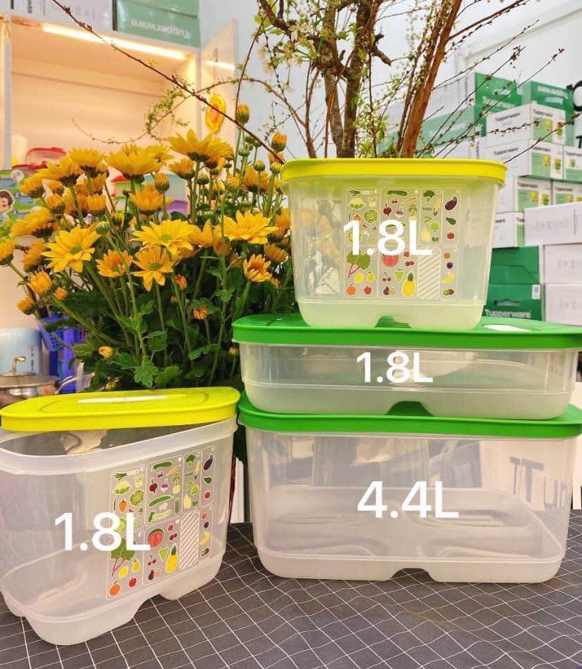 Bộ hộp trữ mát có nút hô hấp Ventsmart 4 hộp