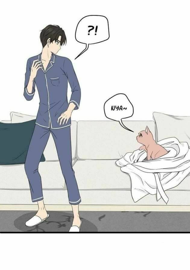 một cuộc sống kỳ lạ chapter 2 40