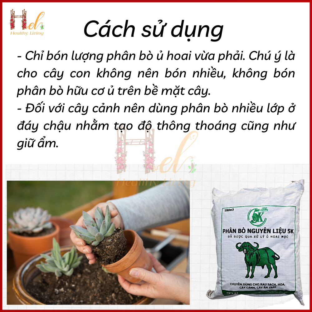 Phân Bò Hoai Mục 10dm3  Đã Qua Xử Lý Trồng Rau, Hoa Kiểng, Cây Kiểng, Cây Trong Nhà