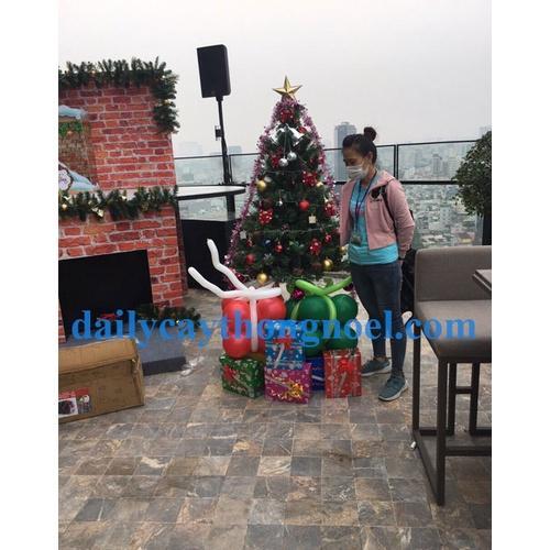 Cây thông noel 3 loại lá gắn trái thông 2m1