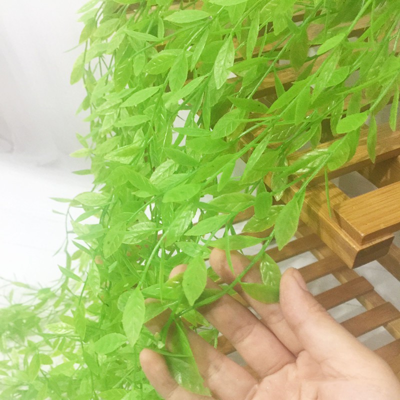 Dây leo giả, dây leo cúc tần ấn độ trang trí