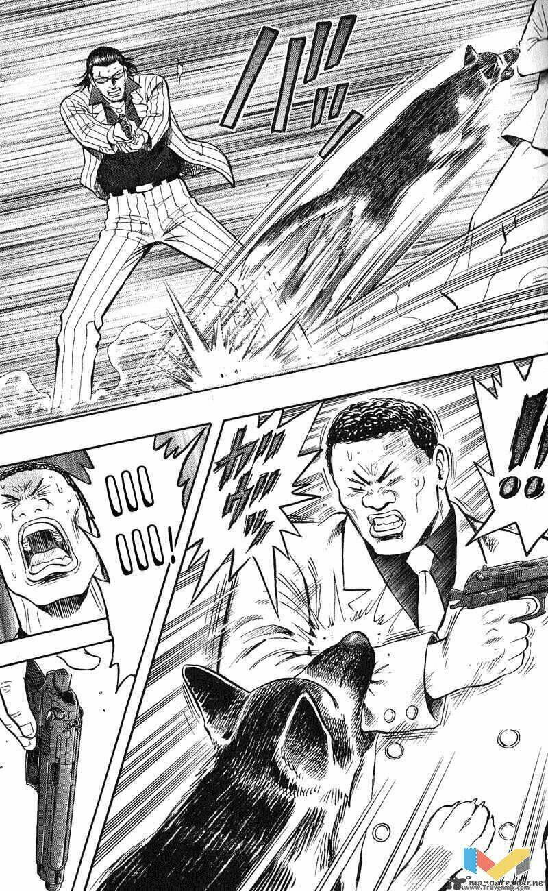 animal sense chapter 12 31