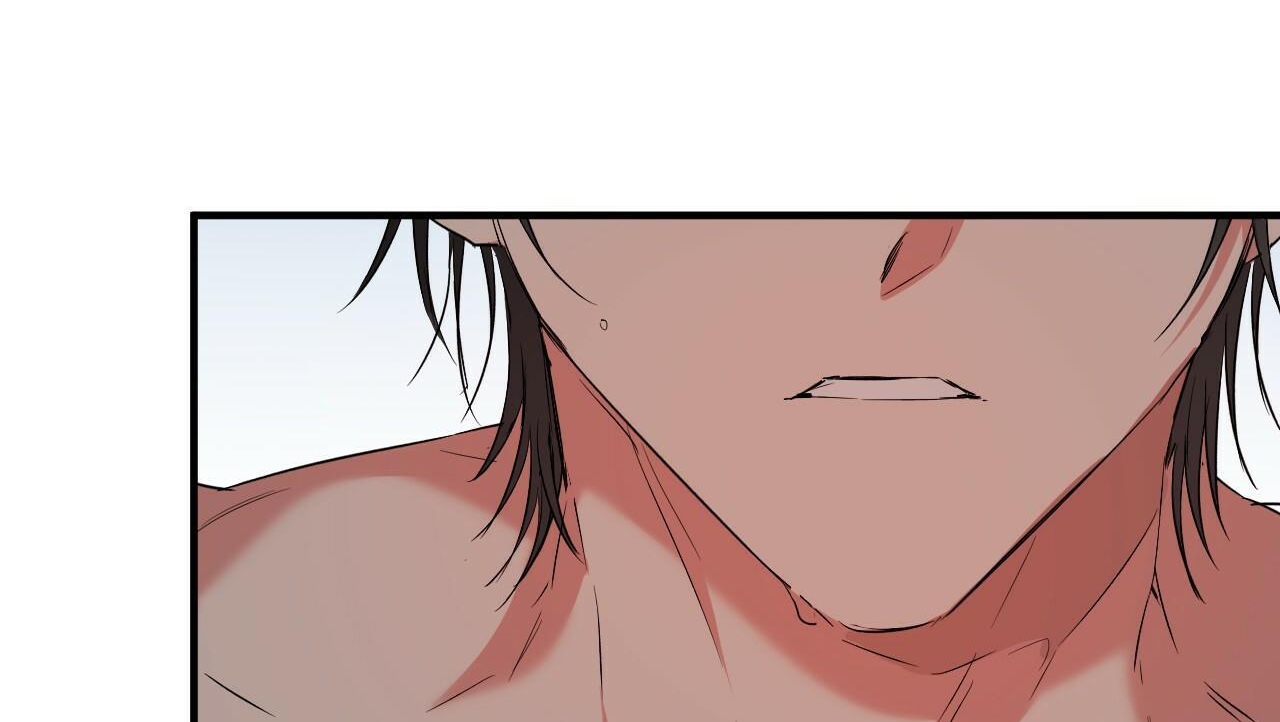 đàn thỏ của habibi chapter 54 168