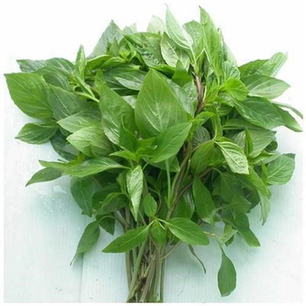 HẠT GIỐNG HÚNG QUẾ CAO SẢN - 10G