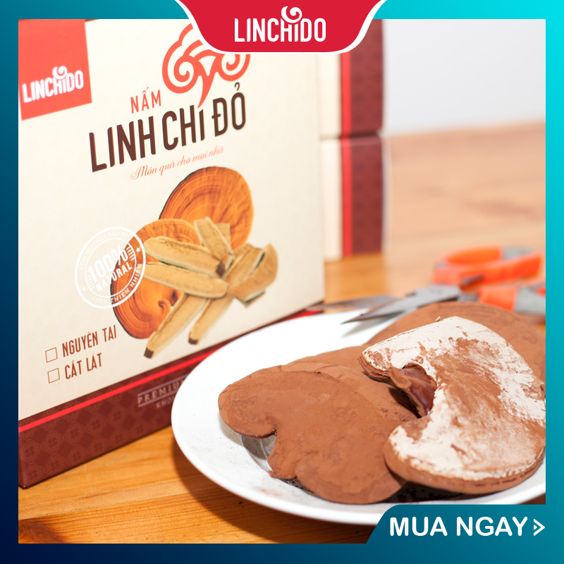 COMBO 2 HỘP NẤM LINH CHI NGUYÊN TAI 250 GRAM