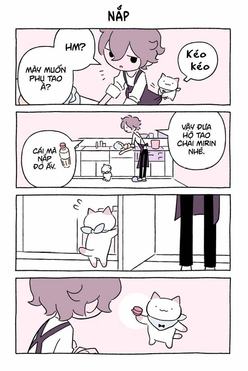 chú mèo kỳ diệu kyuu-chan chapter 578 2