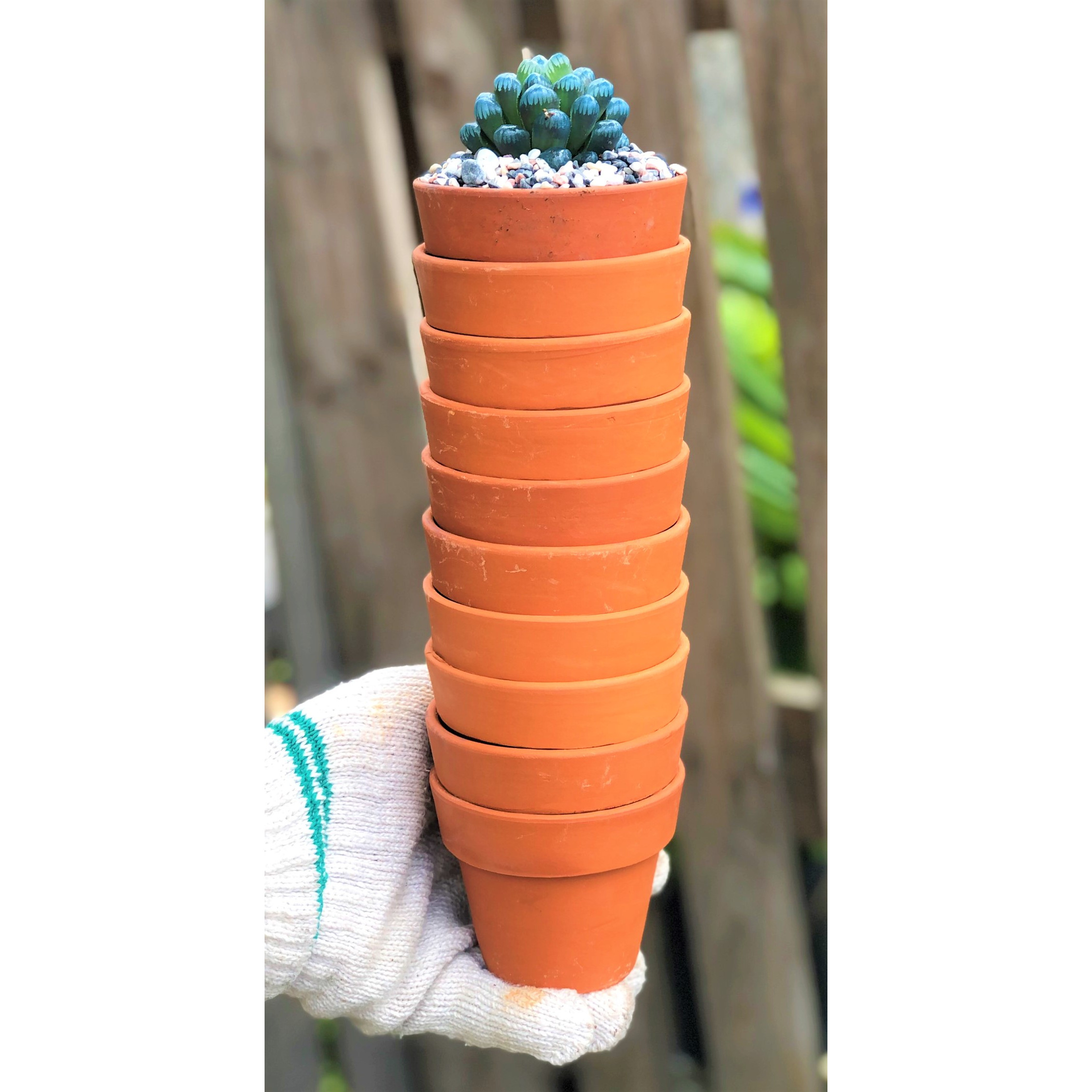 Bộ 10 chậu đất nung trồng xương rồng sen đá Rộng 8 cm x Cao 7 cm
