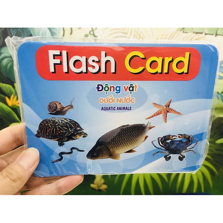 Bộ thẻ học thông minh cho bé từ 0 đến 3 tuổi, Bộ Thẻ Học Thông Minh Flashcard Song Ngữ Cho Bé - Hàng Chính Hãng dododios