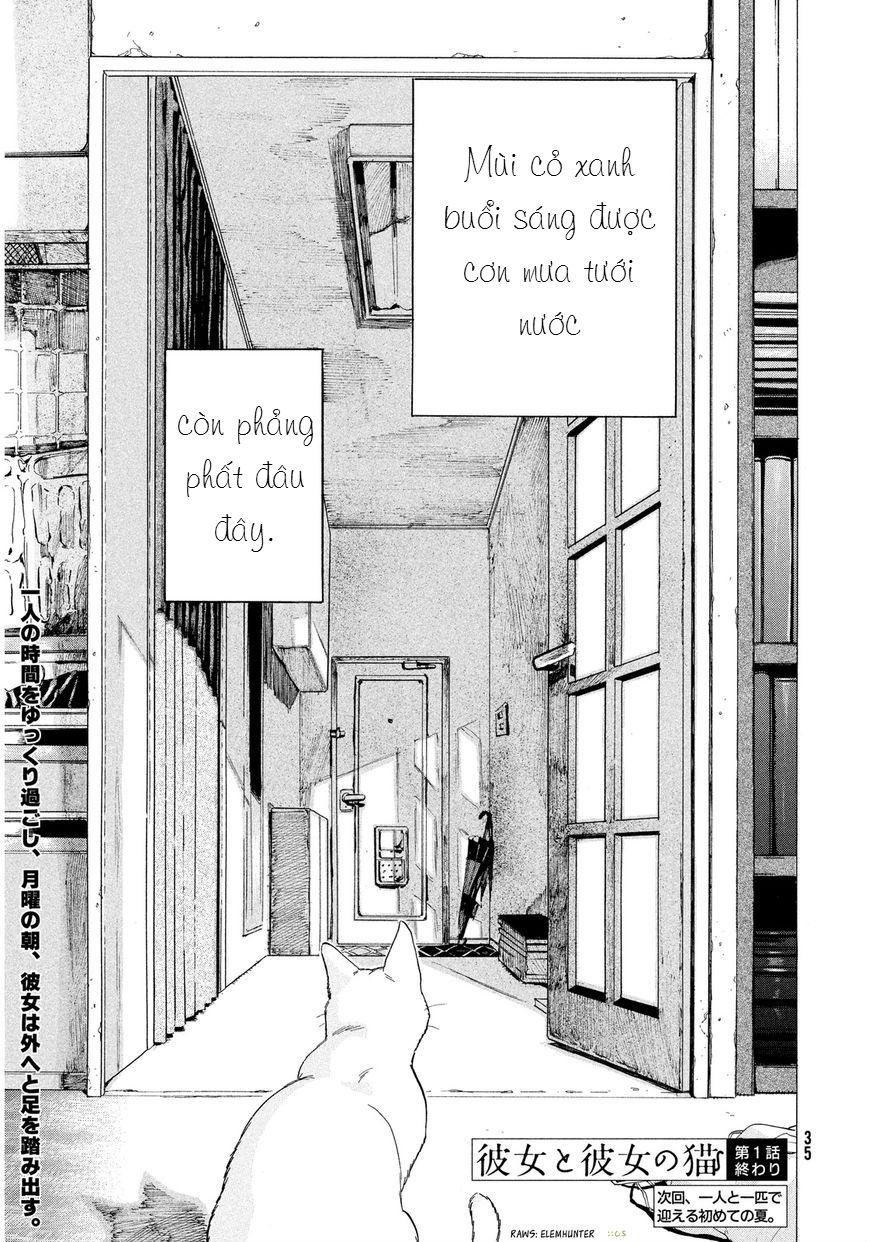 chú mèo và cô chủ chapter 1 31