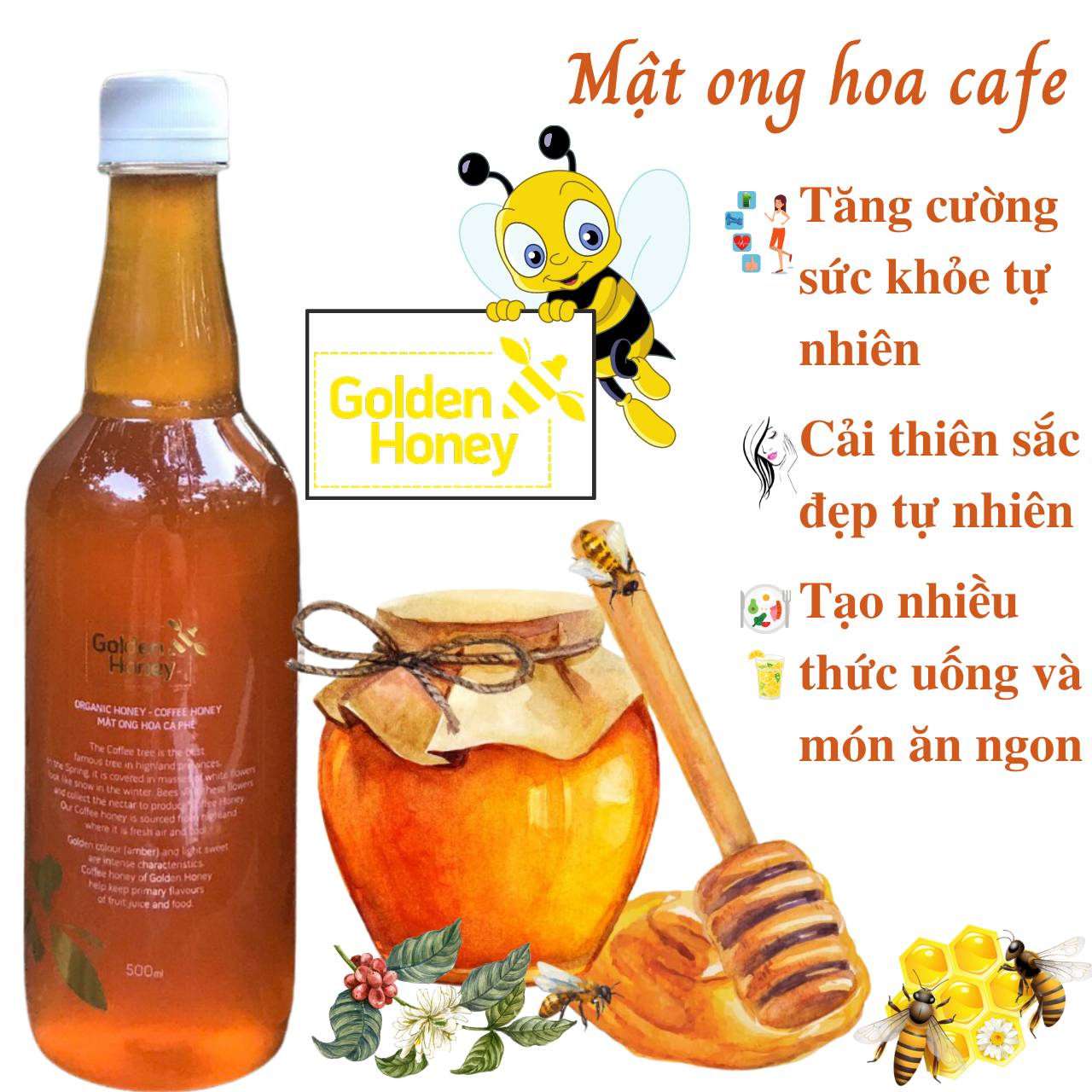 Mật Ong hoa cà phê nguyên chất Golden Honey - tăng sức đề kháng, giảm ho, viên họng, dưỡng ẩm da và môi cang bóng mịn màng - Massel Official