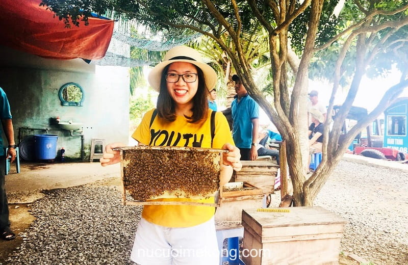 Tour Bến Tre 1 ngày từ Cần Thơ – Khám phá xứ Dừa Bến Tre