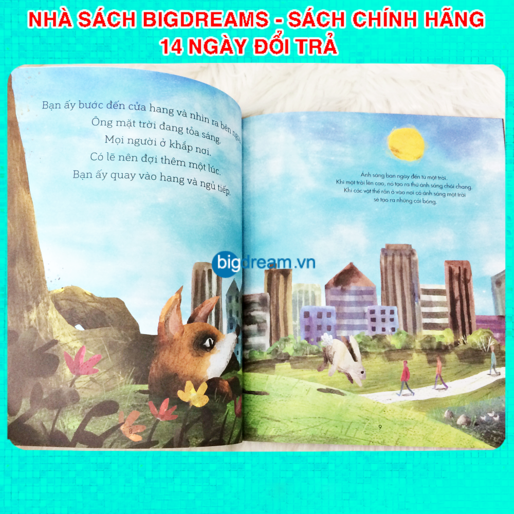 Bạn Cáo trong Đêm - A Science Storybook About Light And Dark Truyện kể cho bé trước giờ đi ngủ phát triển tư duy