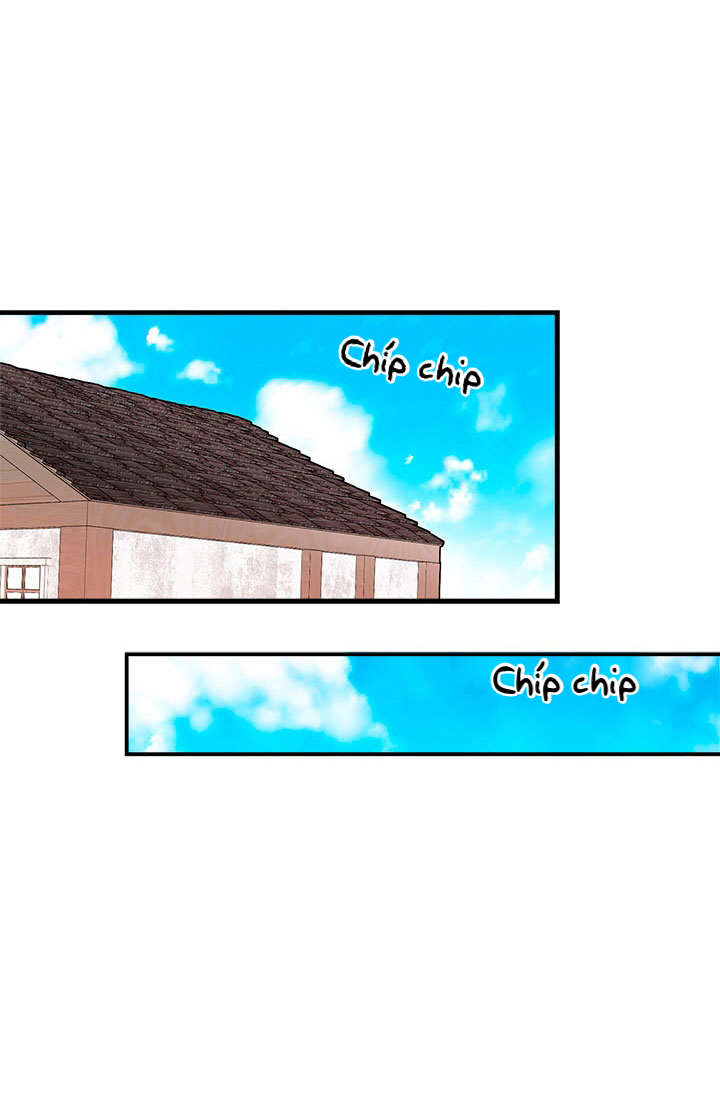 chị tôi đã nhặt về một nam chính quyến rũ chapter 28 9