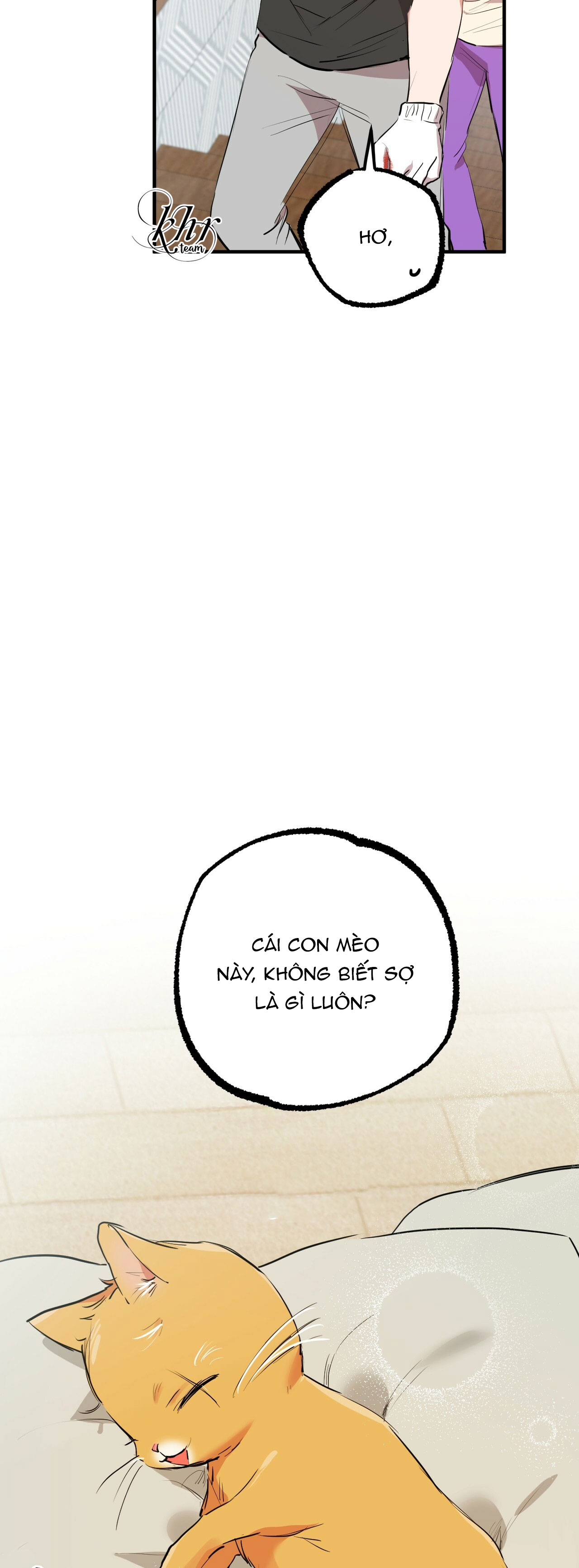 những chú thỏ của hapypy chapter 30 53