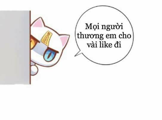 dưới móng vuốt mèo chapter 2 44