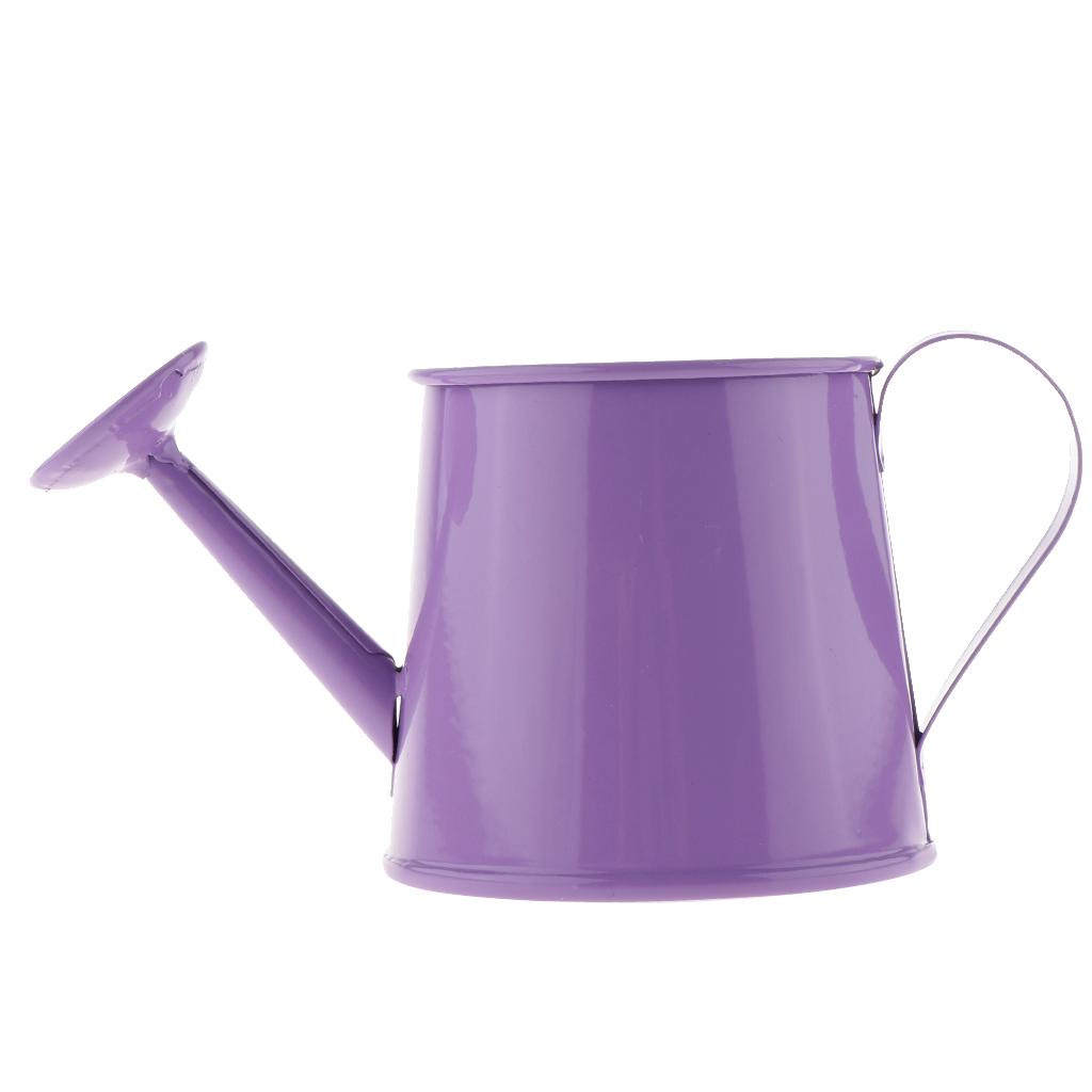 3x Pastoral Style Flower Watering Can Water Pot Sprayer Kettle for Small Plants