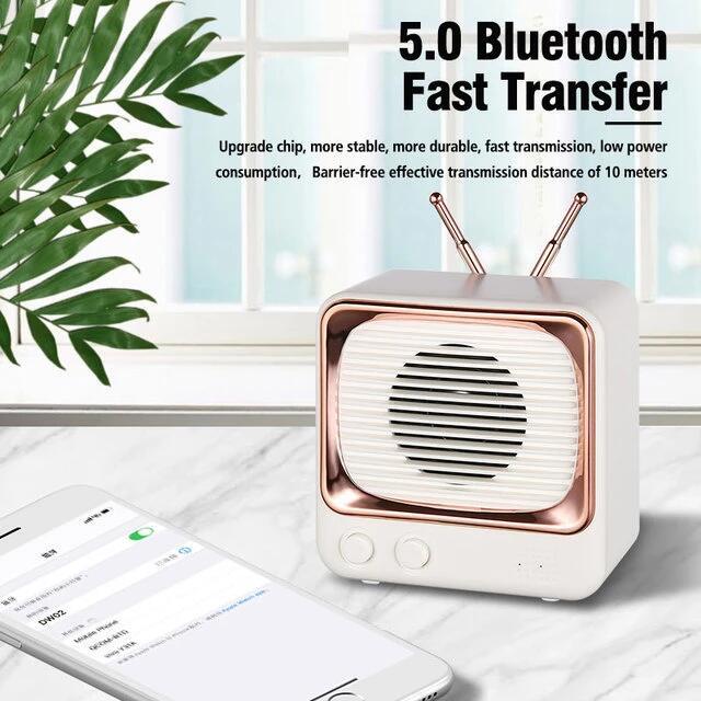 Loa Bluetooth Không Dây DW02 Hình TV Cổ Điển Chất Lượng Cao