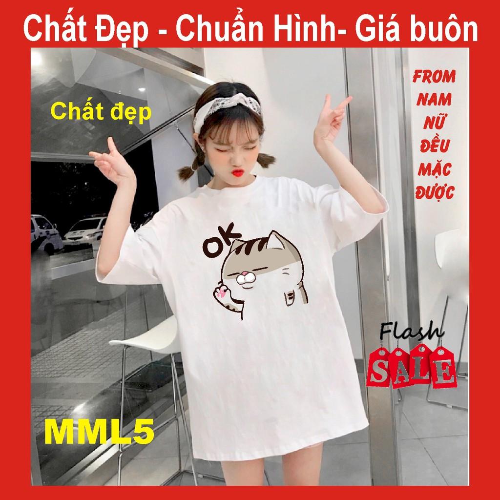 Áo thun mèo cat ami bụng bự M2, FREE SIZE,meo meo