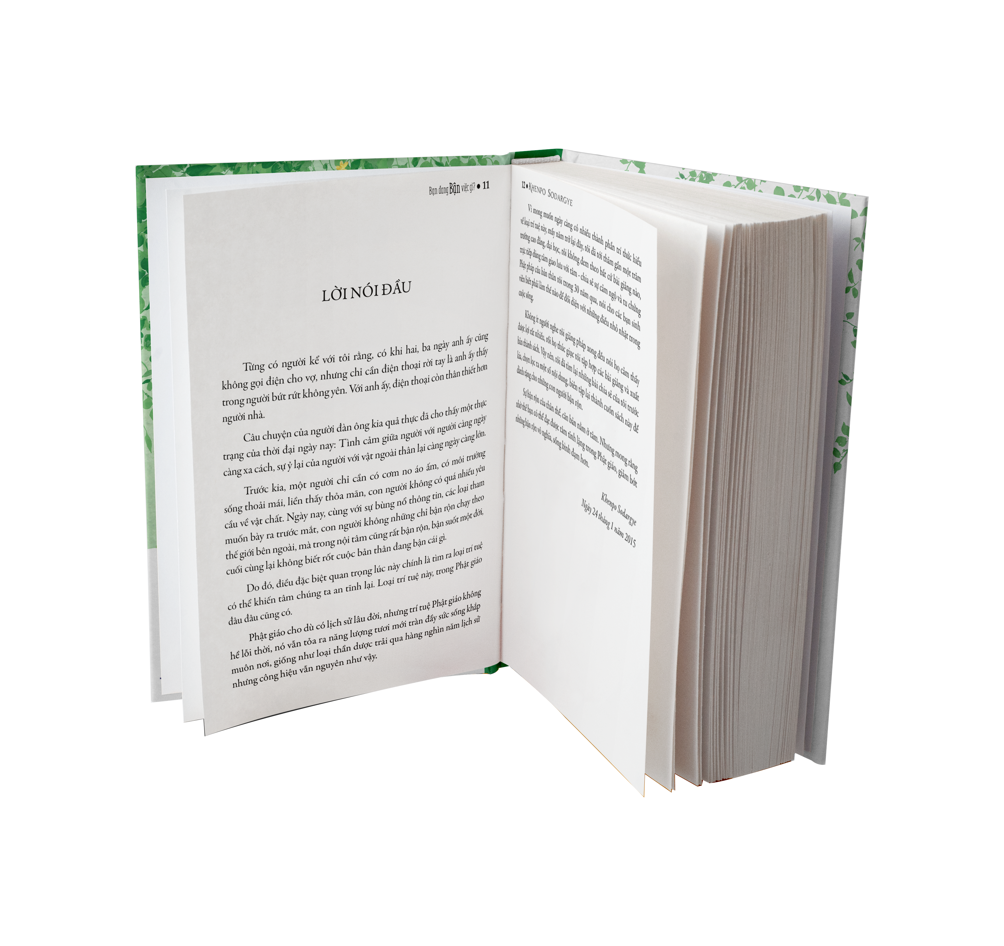 Sách Bạn Đang Bận Việc Gì - Sách Tôn Giáo, Nghệ Thuật và Văn Hóa, Tác Giả KHENPO SODARGYE - Á Châu Books, bìa mềm, in màu