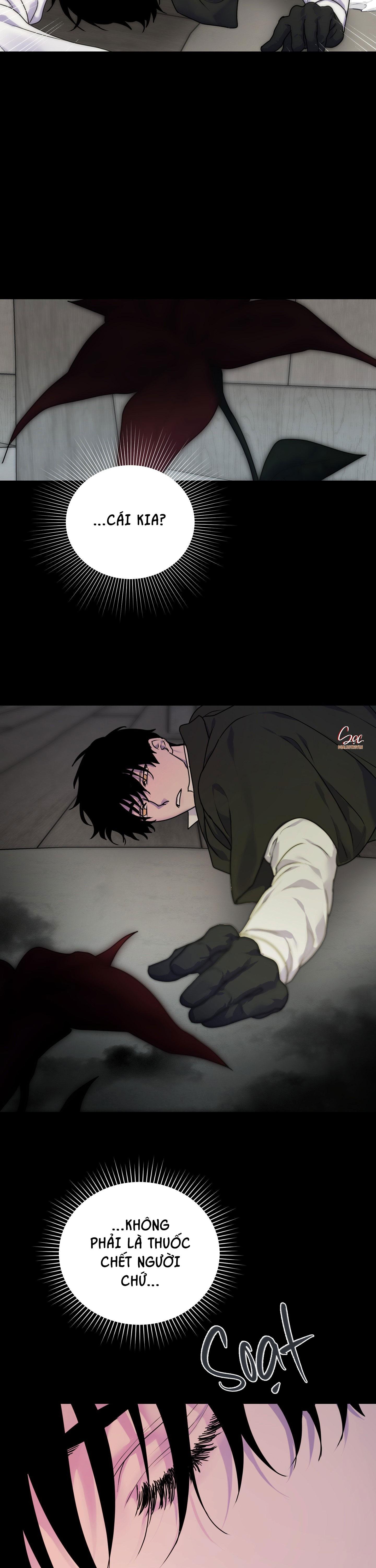 đóa hoa của alosha chapter 22 18