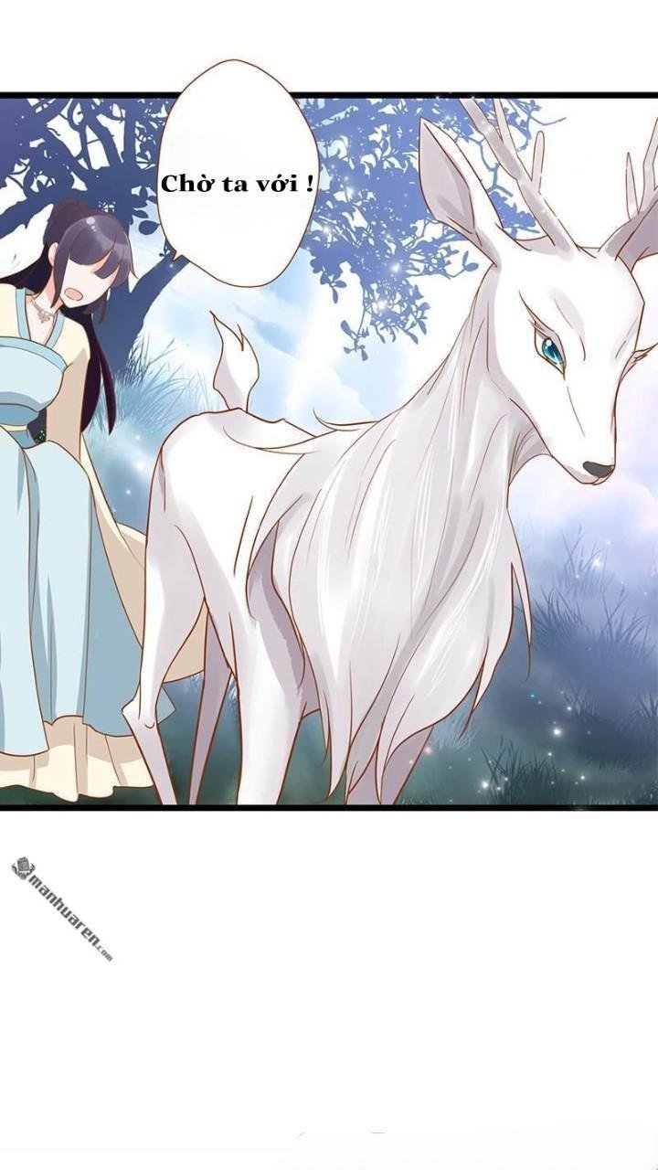 định mệnh giữa vị thần và tiểu cô nương chapter 3 12