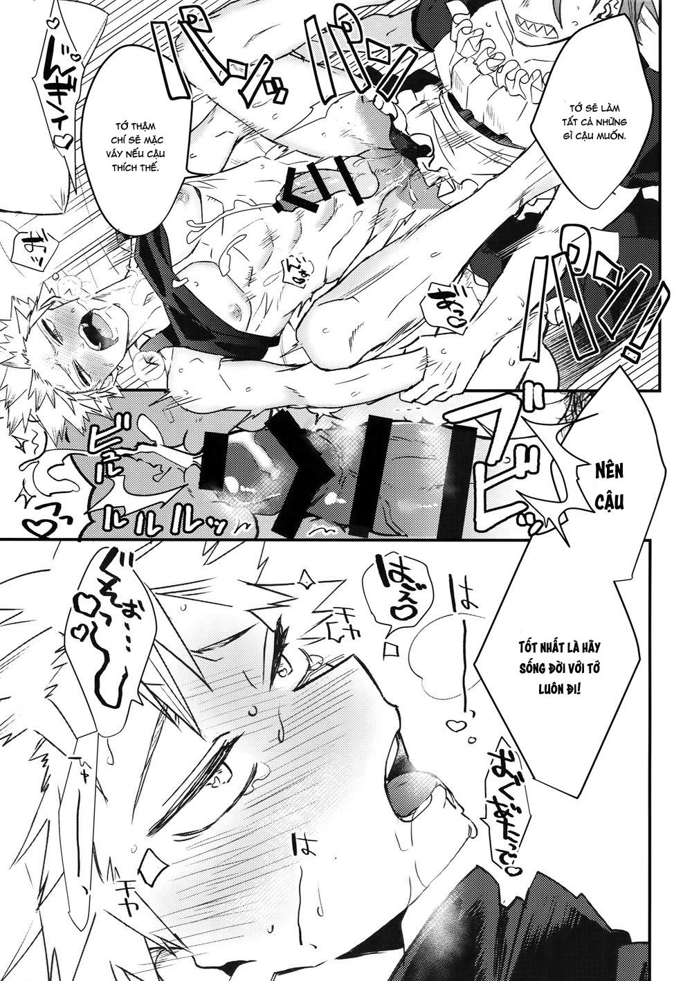 tổng hợp các doujinshi chapter 11 17