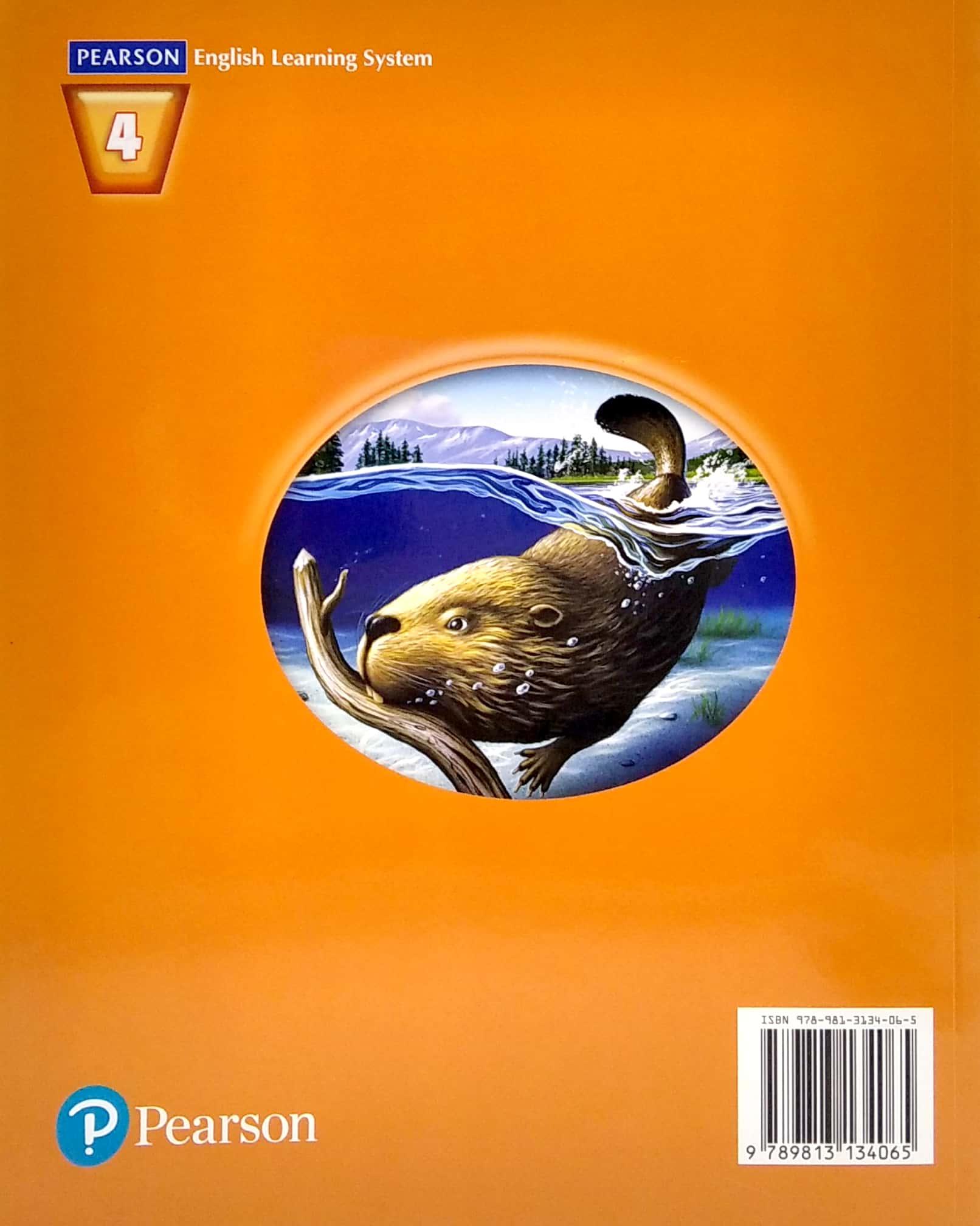 Sách ngoại văn: Cornerstone 2013 Student Edition Grade 4