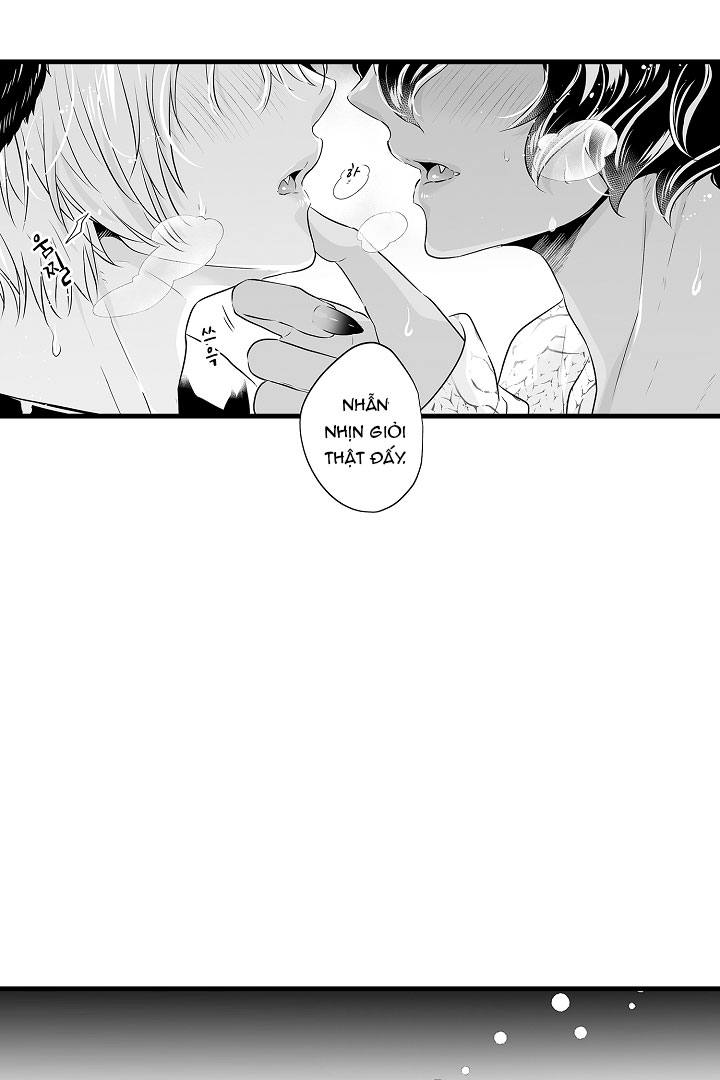 gấu ngủ đông chapter 12.1 12