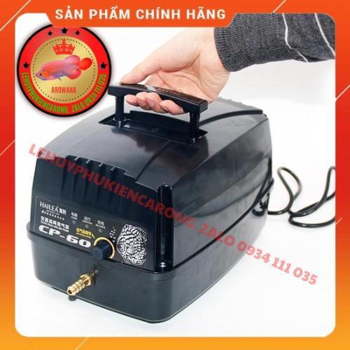 Máy Sủi Tích Điện Hồ Cá Hailea CP60 - Kèm Phụ Kiện 10 Mét Dây 5Li + 10 Cục Sủi Oxy