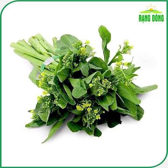 Hạt giống Cải Ngọt Bông (Cải Ngồng) (gói 20 gram) - Hạt Giống Rạng Đông